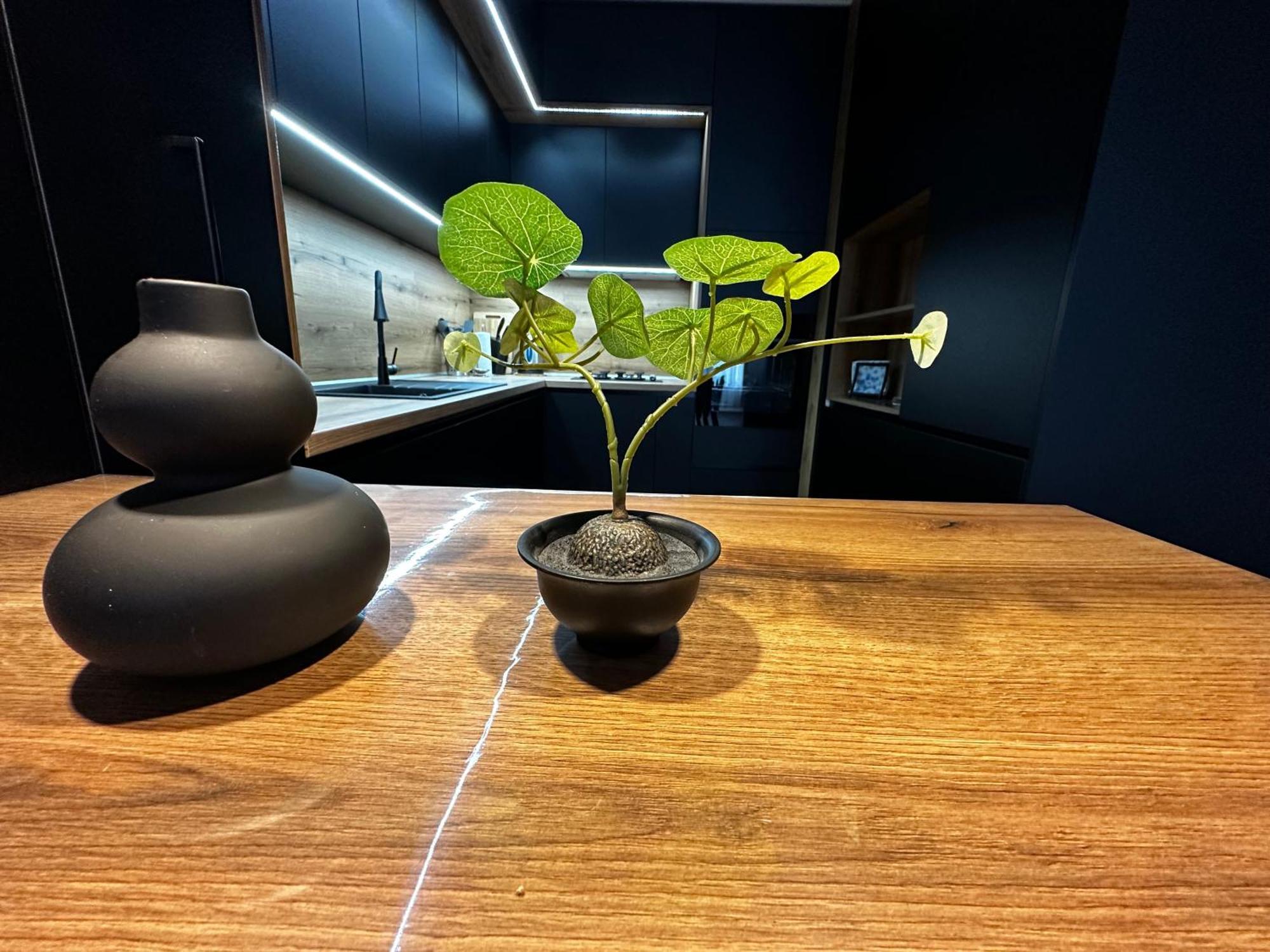 1Br Modern Condo Near The University 索菲亞 外观 照片